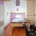 Family-friendly Serene Retreat - Four Bedroom With Terrace Holiday home Secovlje